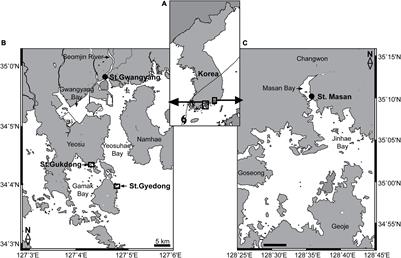 Phytoplankton Bloom Dynamics in Incubated Natural Seawater: Predicting Bloom Magnitude and Timing